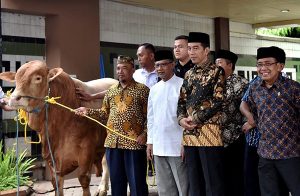 Usulan Libur Dua Hari Idul Adha, Tunggu Arahan Presiden Jokowi