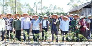 Muhammadiyah Harap Pemerintahan Baru Ciptakan Kebijakan yang Berpihak ke Petani