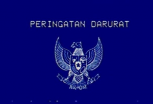 Video ‘Peringatan Darurat’ Viral: Selebritas dan Netizen Kritik Keras Putusan DPR tentang Usia Calon Kepala Daerah
