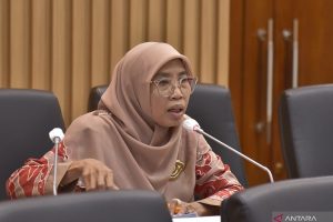 Gelombang PHK Hantam Indonesia, DPR Minta Impor dari China Harus Diperketat