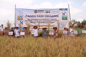 Muhammadiyah Lampung Dorong Pertanian Organik Lewat Temu Raya Petani