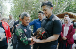 Isu Jet Mewah Bak Bola Salju, Mahfud MD: Kita Tak Bisa Paksa KPK Periksa Kaesang