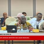Menteri HAM Natalius Pigai saat Raker Komisi XII DPR, Kamis (31/10/2024). (Foto:Tangkapan layar/ Ubay)