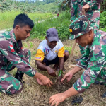 TNI