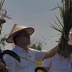 Menko Bidang Pangan, Zulkifli Hasan (Zulhas) saat meninjau lahan padi PT Sang Hyang Seri di Subang, Kamis (31/10/2024). (Foto:Tangkapan layer/ Ubay)