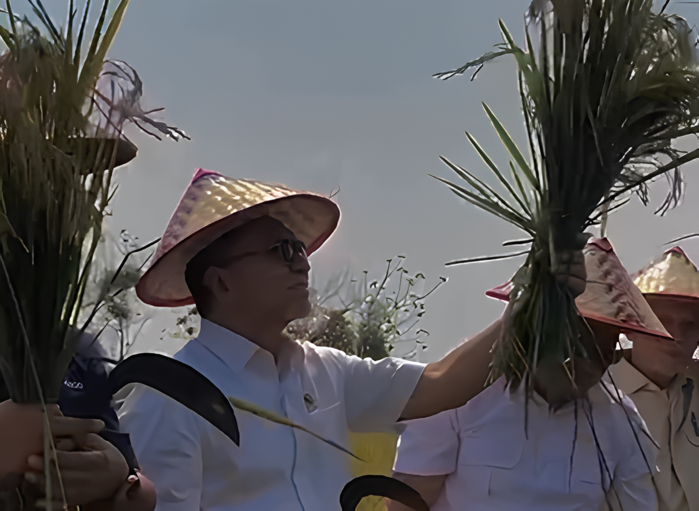 Menko Bidang Pangan, Zulkifli Hasan (Zulhas) saat meninjau lahan padi PT Sang Hyang Seri di Subang, Kamis (31/10/2024). (Foto:Tangkapan layer/ Ubay)