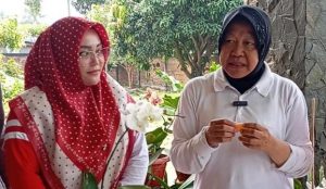 Cicipi Kesegaran Jeruk Malang, Risma Dorong Produk Lokal Mendunia