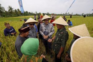UMM Sukses Jadikan Bondowoso Surga Pertanian Organik