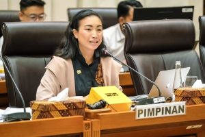 PDIP Tolak Kenaikan PPN 12%, Gerindra: Kenapa Tidak Saat Mereka Jadi Ketua Panja Dulu?