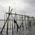 Pagar laut ilegal di Kabupaten Tangerang yang menuai polemik.