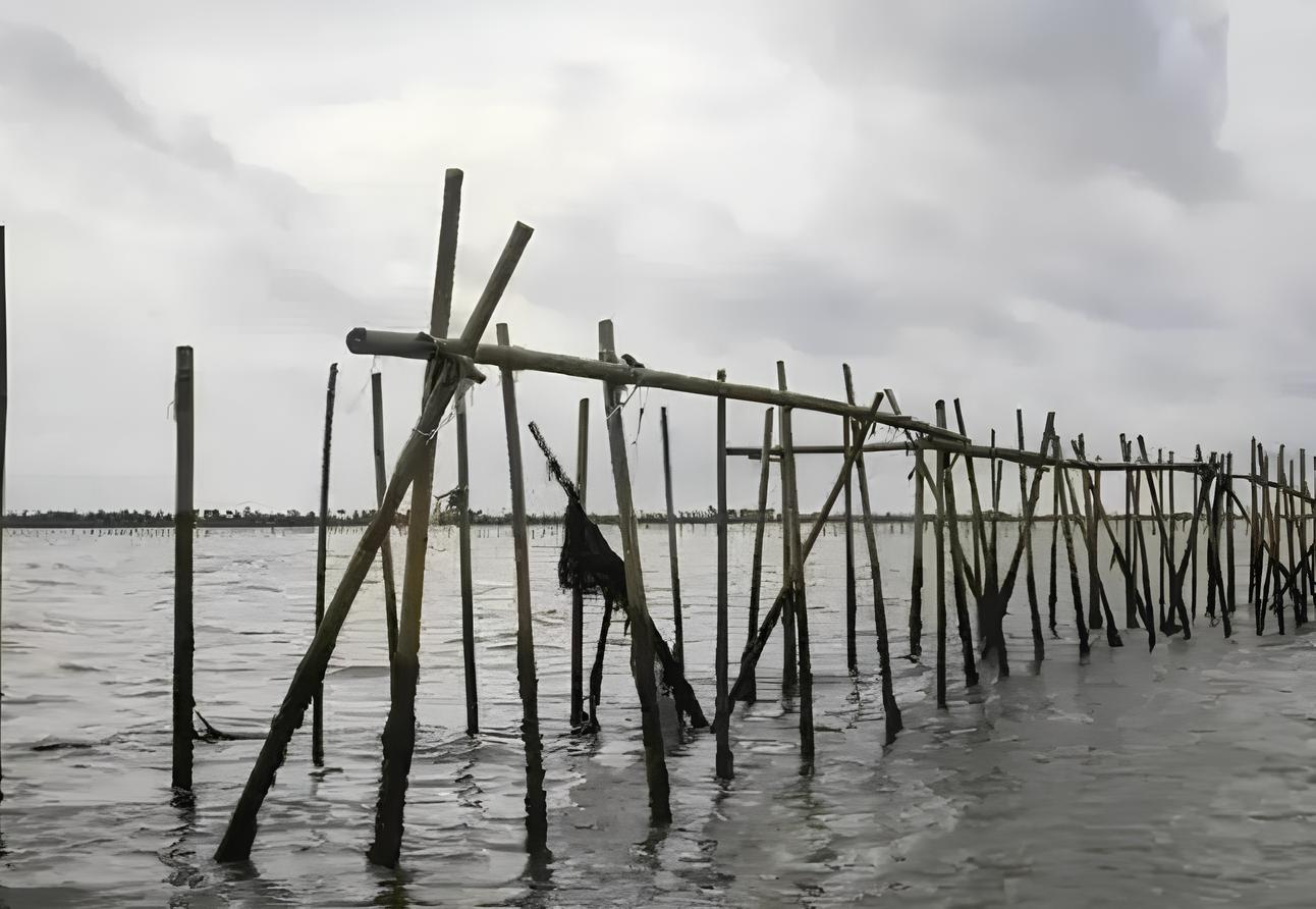 Pagar laut ilegal di Kabupaten Tangerang yang menuai polemik.