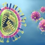 Ilustrasi virus HMPV yang sedang merebak di China.