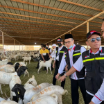 Penyembelihan dan pendistribusian hadyu atau membayar dam bagi para jamaah haji.
