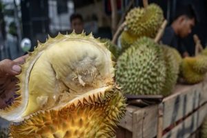 Parigi, Surga Durian dengan Rasa Legit dan Aroma Khas