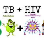TB-HIV. (Ilustrasi: Ners Unair)