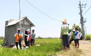 Program Electrifying Agriculture PLN Perkuat Sektor Pangan