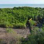 Kawasan mangrove di Desa Ambat, Kecamatan Tlanakan, Pamekasan, yang diduga telah dirusak.