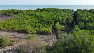 LHKP PDM Pamekasan Bakal ke Polda Jatim, Tindak Lanjuti Kasus Perusakan Mangrove di Desa Ambat