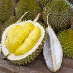 Buah durian. (Foto: UMSU)