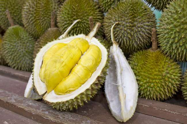 Buah durian. (Foto: UMSU)