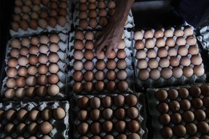 Tarif Setrum dan Ayam Telur Ras Picu Deflasi Bulanan Jatim
