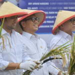 Menteri Desa