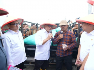 Fokus Ketahanan Pangan, Mendes Yandri Alokasikan Rp16 Triliun Dana Desa