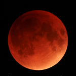 Blood Moon
