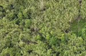 Viral Ladang Ganja di Kompleks Bromo-Semeru Terungkap, Anggota DPRD Jatim Pertanyakan TNBTS