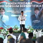 Mendes PDT Yandri Susanto menghadiri panen perdana bibit sorgum bersertifikat nasional di Dukuh Gelam, Desa Kedungwungu, Kecamatan Todanan, Kabupaten Blora, Ahad (11/5/2025). (Foto: Humas Kemendes PDT)