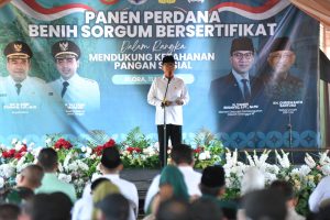 Blora Menuju Pusat Sorgum Nasional, Mendes Optimis Indonesia Bisa Jadi Lumbung Pangan Dunia