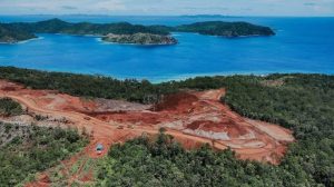 Bukan Cuma 4, LHKP PP Muhammadiyah Desak Pemerintah Cabut Seluruh Izin Pertambangan di Pulau Kecil