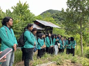 Tumpangsari Cabai dan Nilam, Inovasi Mahasiswa dan Dosen Bangkitkan Ekonomi Desa