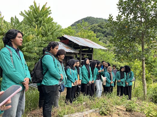 Tumpangsari Cabai dan Nilam, Inovasi Mahasiswa dan Dosen Bangkitkan Ekonomi Desa