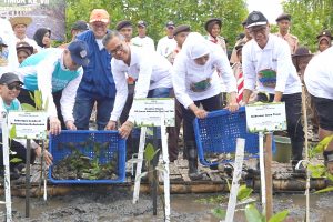 SIG Tanam 17.845 Bibit Mangrove di Probolinggo, Jatim Kokohkan Kepemimpinan Konservasi Hayati