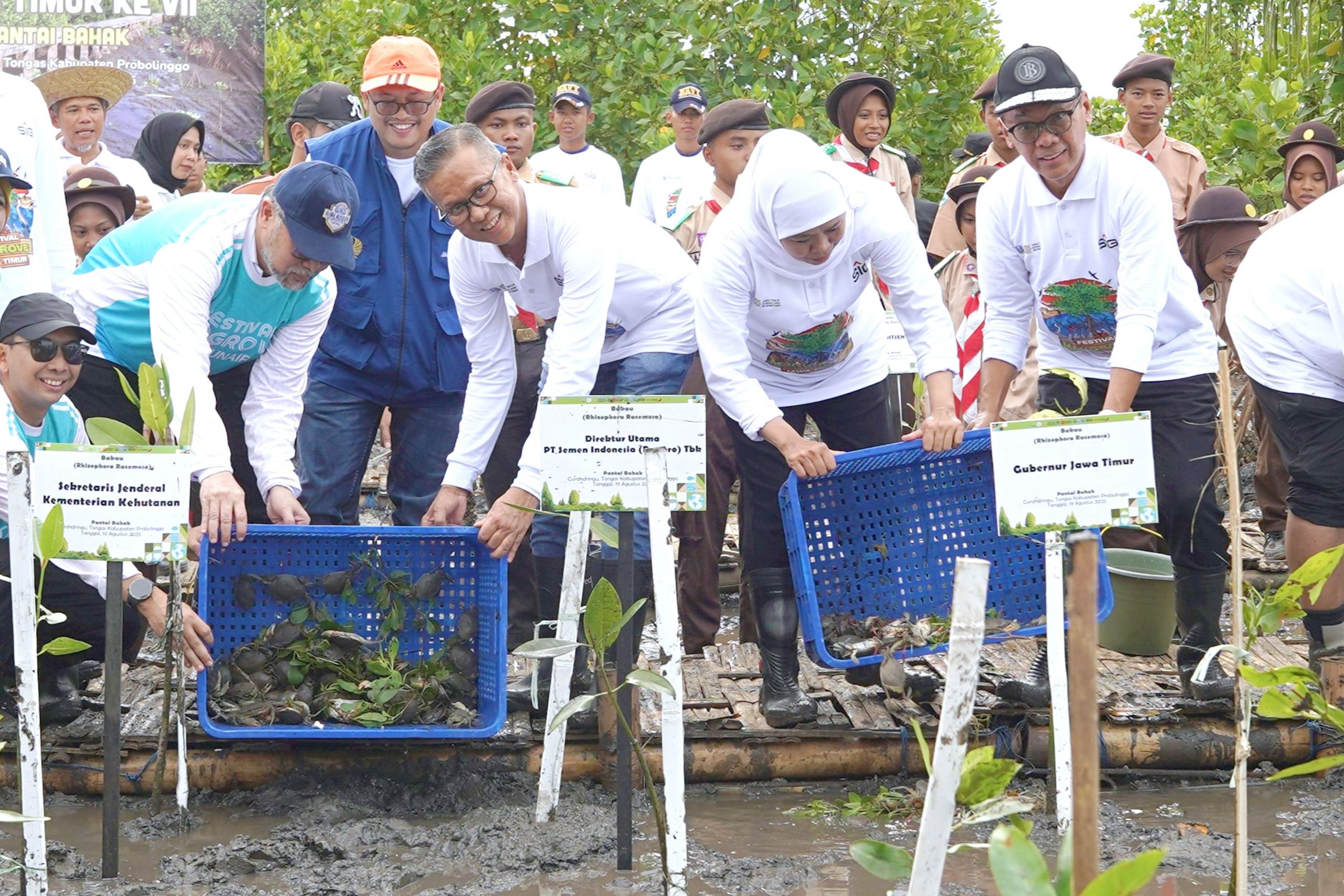 SIG Tanam 17.845 Bibit Mangrove di Probolinggo, Jatim Kokohkan Kepemimpinan Konservasi Hayati