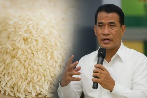 Mentan Amran Sebut Harga Beras Turun di 32 Provinsi Usai Distribusi SPHP Digencarkan