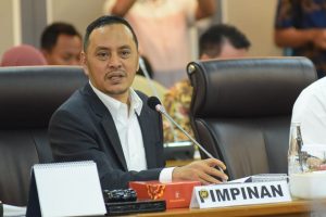 Soal Bendera One Piece, Willy Aditya: Jangan Dibesar-besarkan, Bukan Pelanggaran Serius