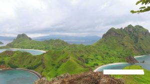 Polemik Pulau Padar: Kemenhut Klarifikasi Rencana Wisata Alam