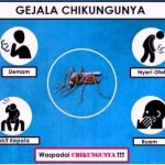 kasus chikungunya