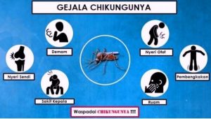 Suspek Chikungunya Melonjak Tajam, 5 Provinsi Masuk Daftar Kasus Tertinggi