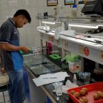 Tim dengan dosen pembimbing Apriliana Devi Anggraini, S.Pt., M.Sc dan diketuai oleh Wirayuda Ahmad Yoga Bimantara dari Fakultas Pertanian Peternakan ini berhasil mengembangkan bio-coating. Foto:Humas UMM