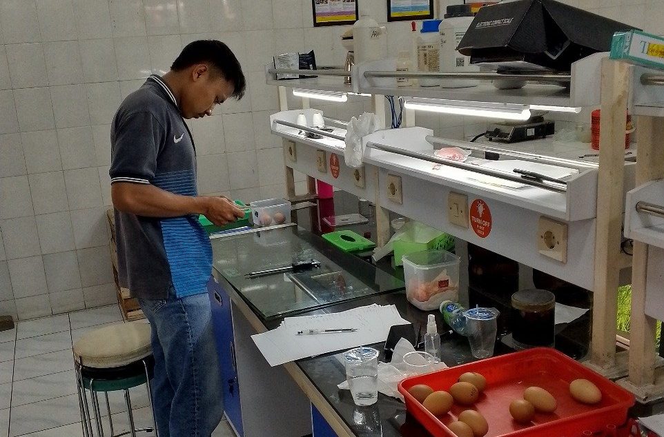 Daun Mangga Jadi Bio-Coating, Mahasiswa UMM Ciptakan Telur Lebih Awet