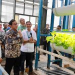 Tahu Dari Medsos, Pramono Anung Kunjungi Kebun Vertikal di Jaksel