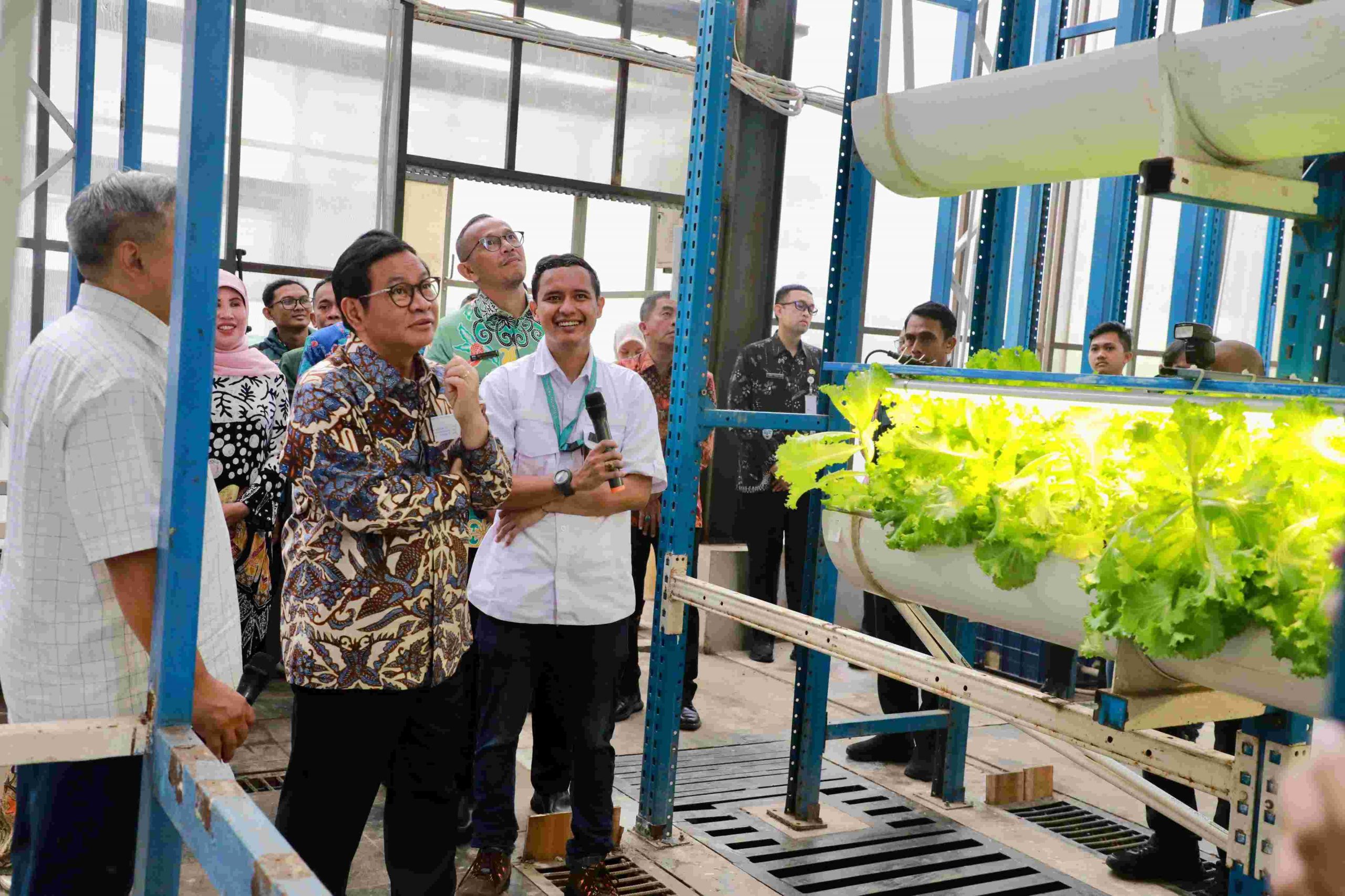 Tahu Dari Medsos, Pramono Anung Kunjungi Kebun Vertikal di Jaksel