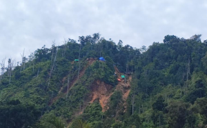 Sat-Set, 321 Hektare Tambang Ilegal Disikat Pemerintah