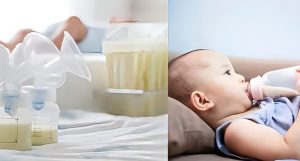 Perjalanan ASI Jadi Lebih Mudah: 5 Perlengkapan Wajib yang Bikin Ibu Nyaman