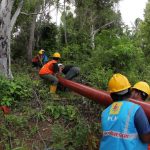 Listrik masuk desa. (Foto: PLN)