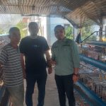 Kelompok Tani Merdeka Aceh Tamiang terus menunjukkan komitmennya dalam sektor peternakan, khususnya usaha ayam petelur, sebagai bagian dari upaya pemberdayaan ekonomi masyarakat desa, Ahad (28/9/2025). (Foto: Rizki/ IST)