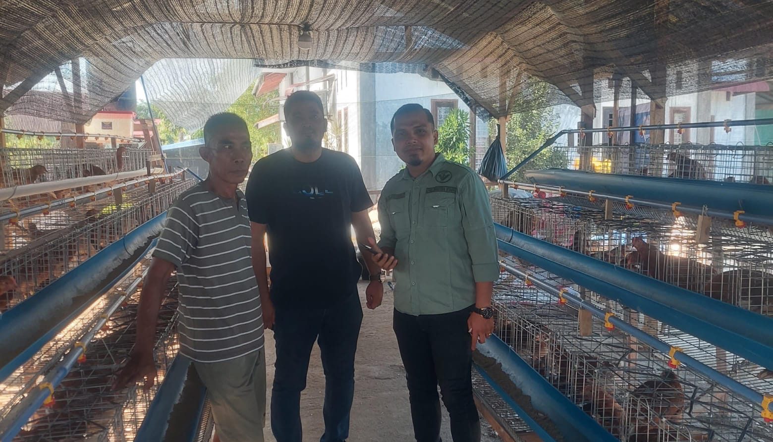 Kelompok Tani Merdeka Aceh Tamiang Dorong Usaha Ayam Petelur untuk Kemandirian Desa